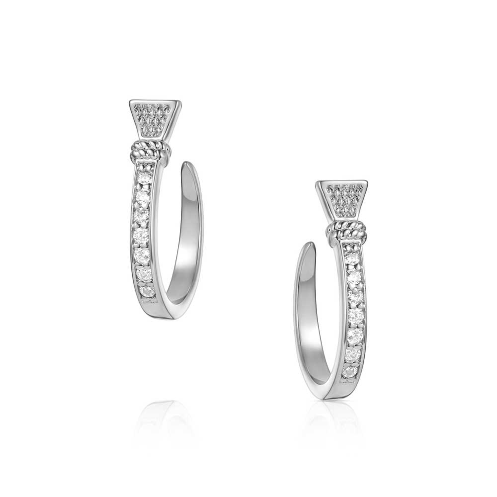 Horseshoe Nail Hoop Earrings