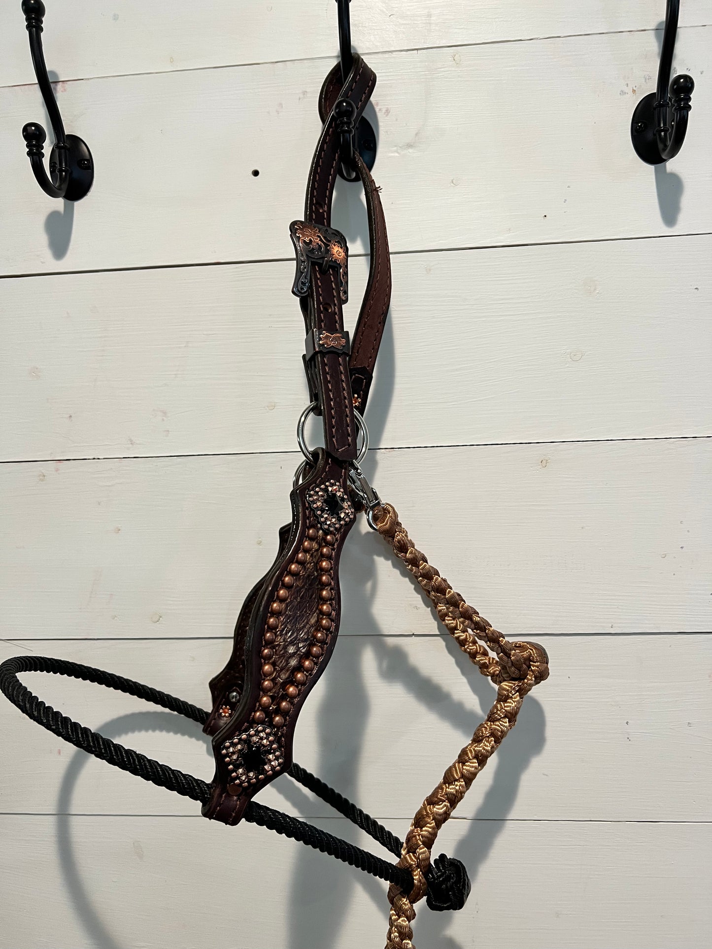 Lariat noseband with muletape and leather halter