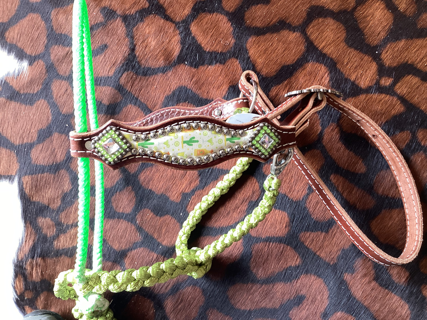 Lariat noseband with muletape and leather halter