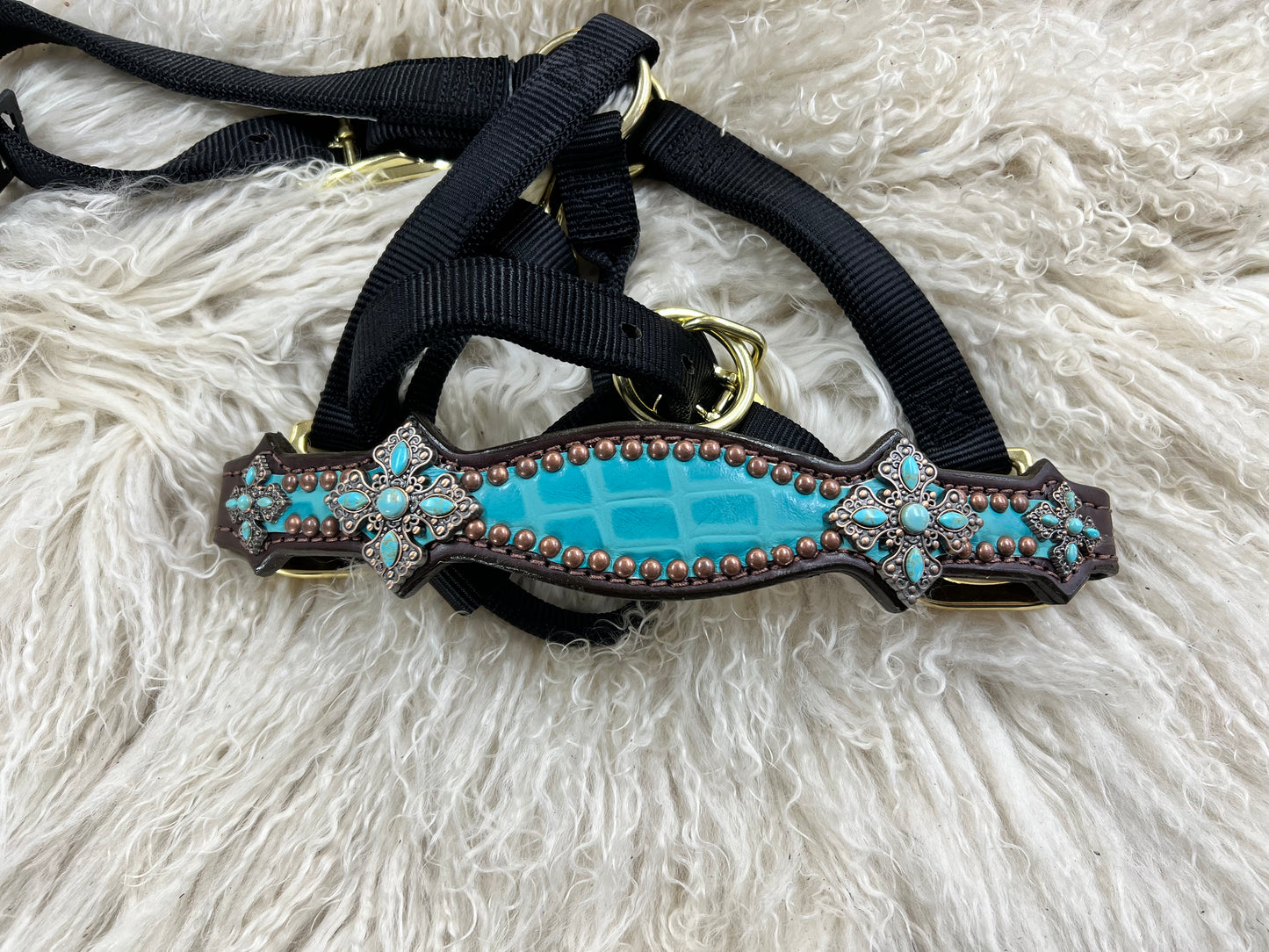 Turquoise gator on dark leather