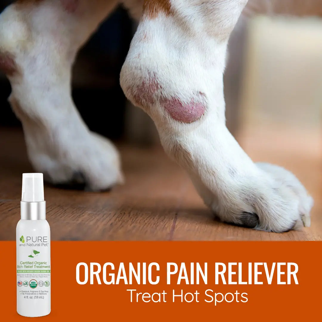 Certified Organic Itch Relief & Hot Spot Oil