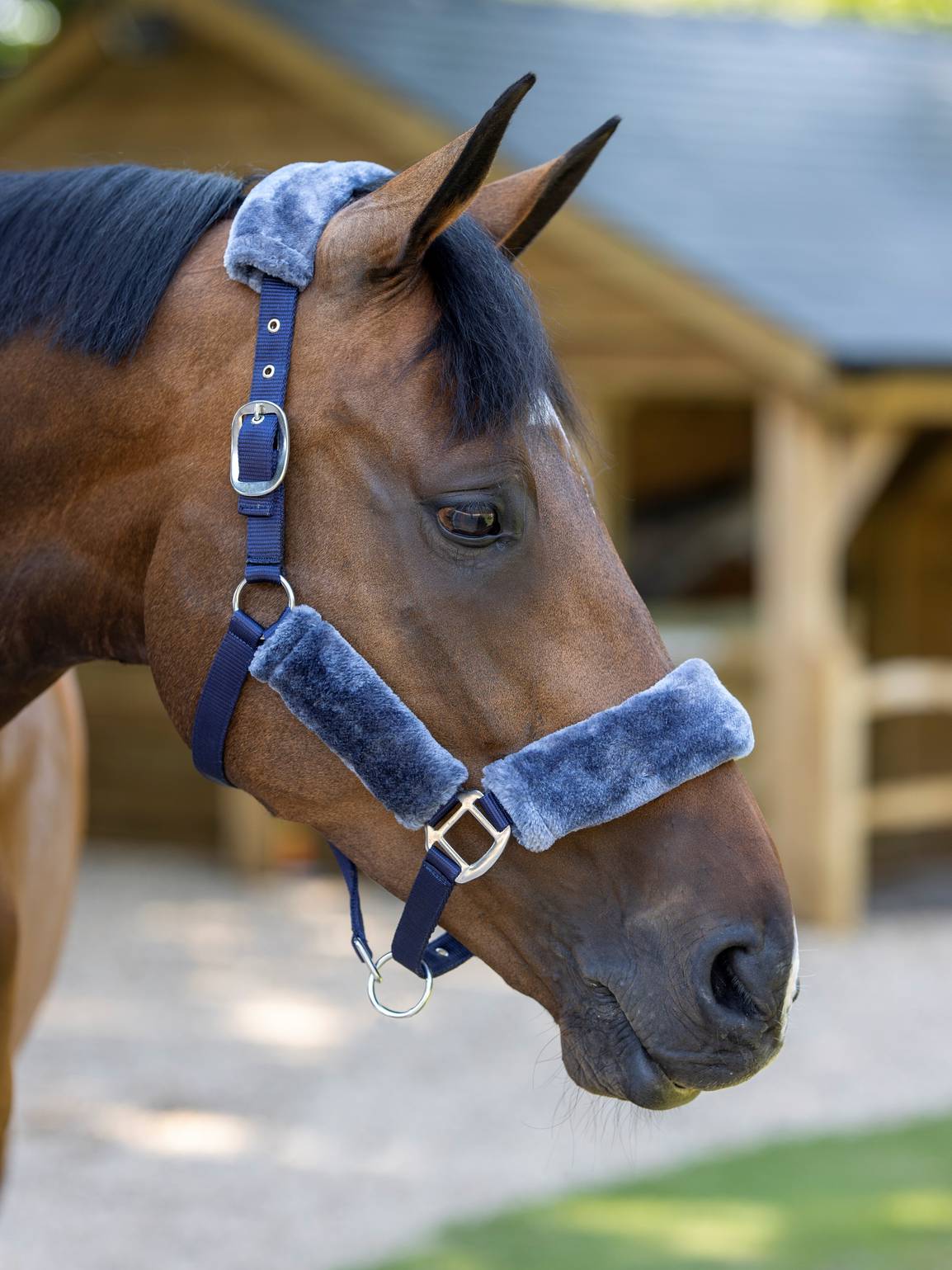 LeMieux Comfort Halter