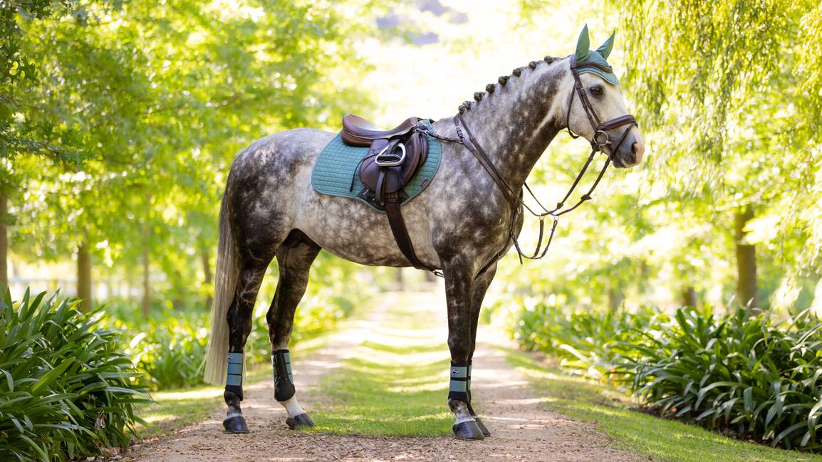 LeMieux Suede Close Contact Square saddle pad