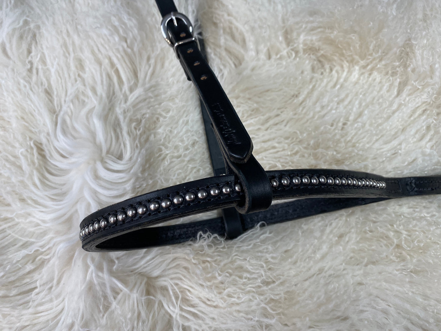 Tie down noseband