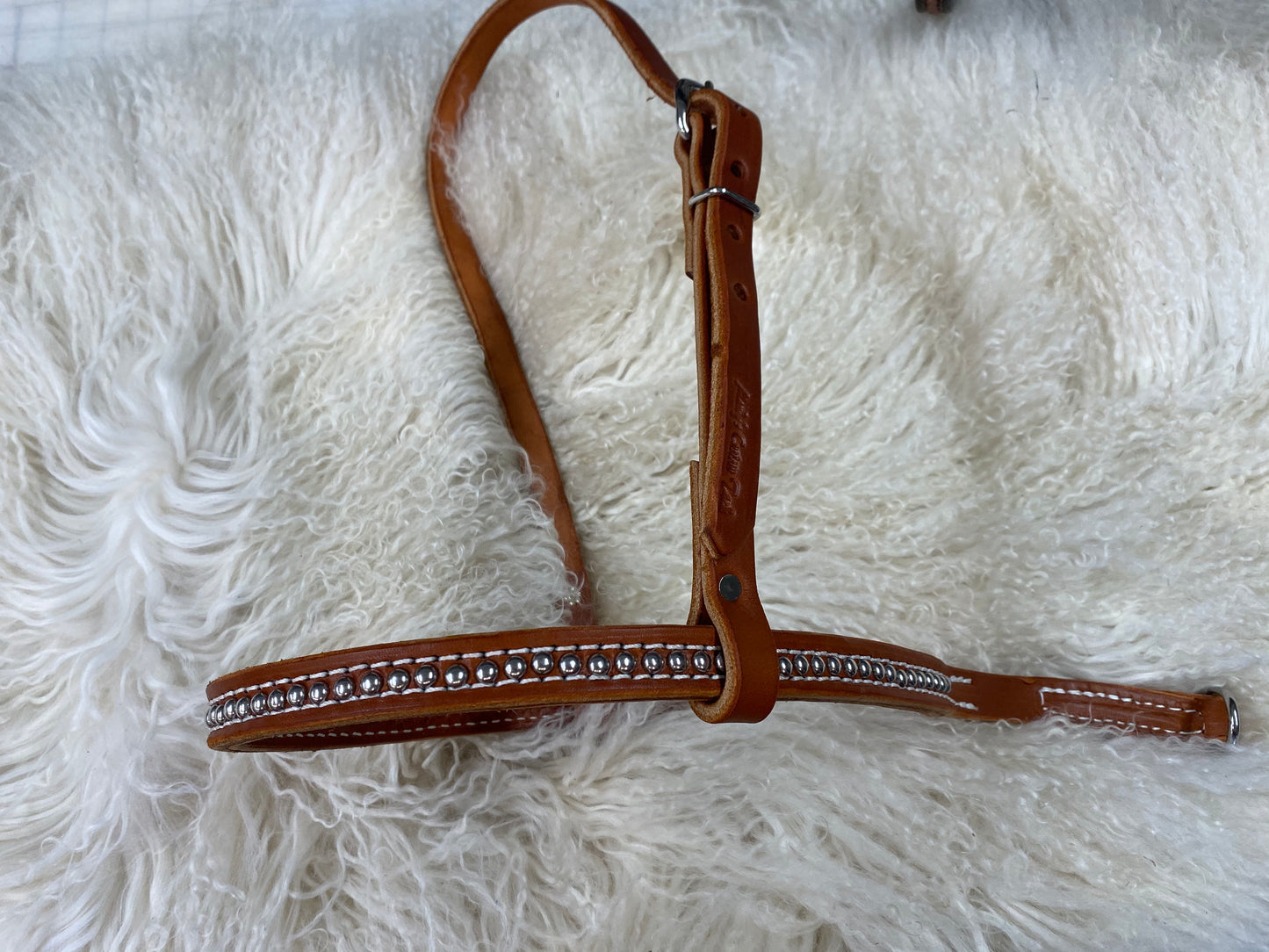 Tie down noseband