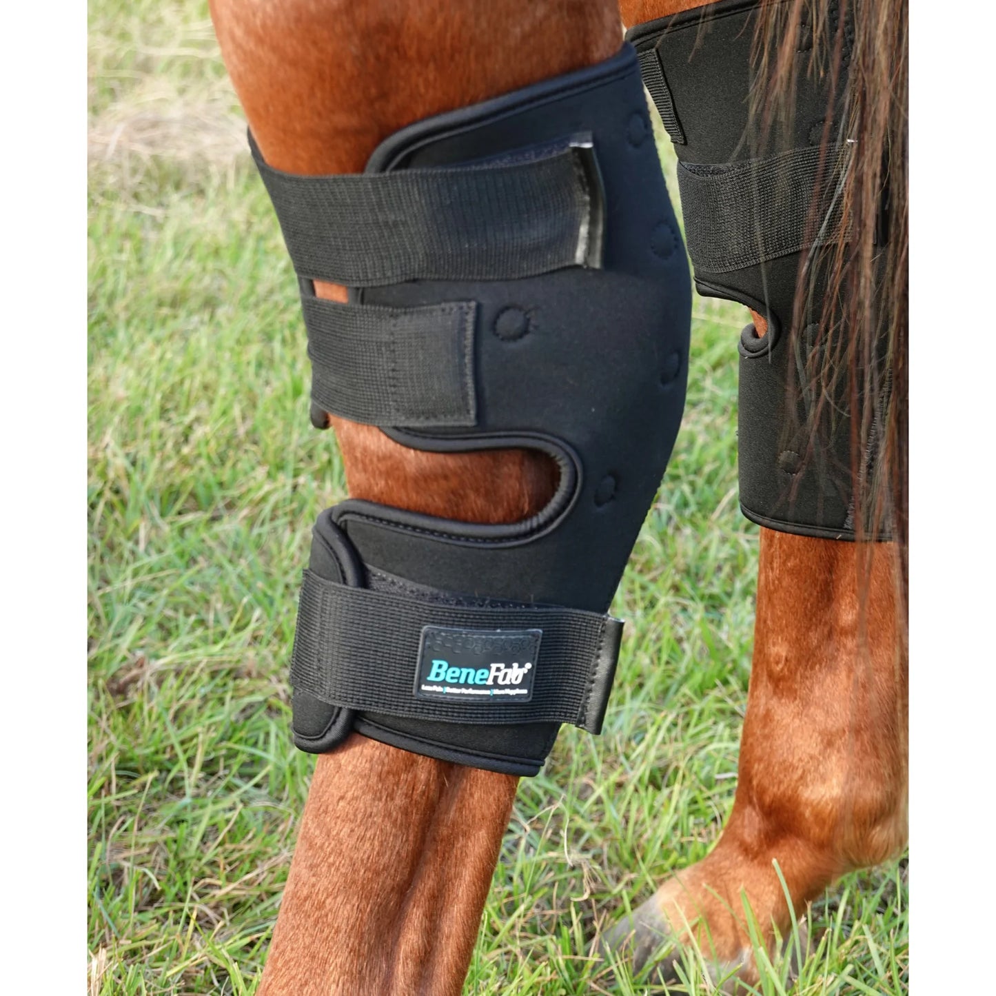 NEW! Rejuvenate Smart Hock Boots