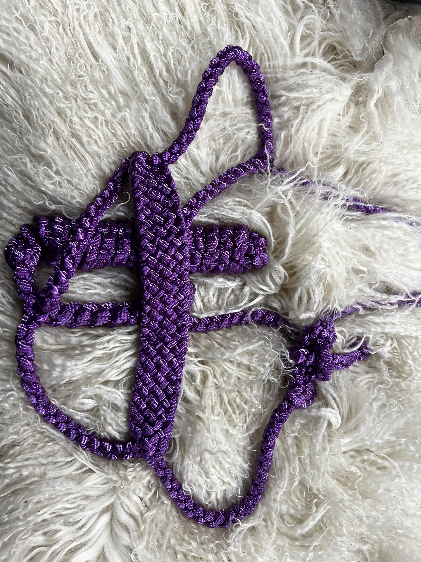 Soft Hand braided mule tape halters