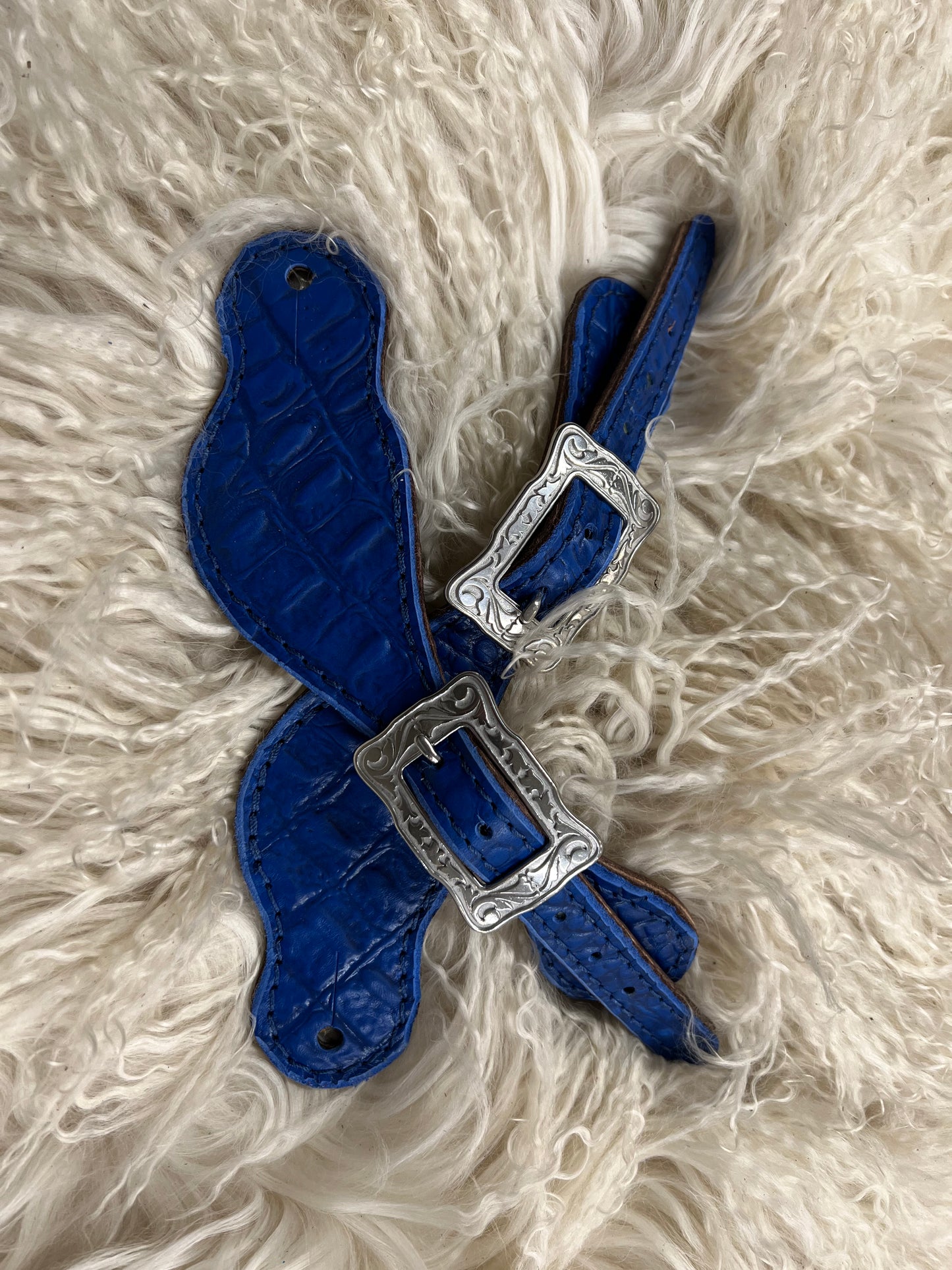 Blue gator on dark leather with blue rhinestones