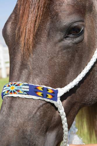 Cowboy Braided Rope Halter-white and royal